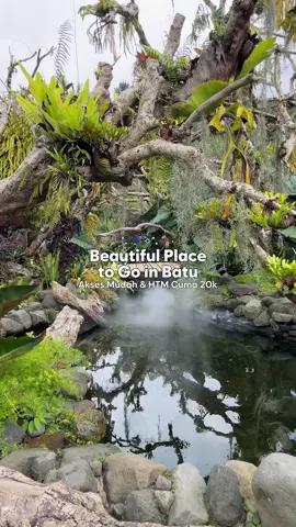 [WISATA NEGERI DONGENG DI BATU] 🪻 Rekomendasi spot foto bunga-bunga di Batu 🌸 Salah satu rekomendasi wisata di Batu yang aksesnya mudah, HTM affordable cuma 20k (dapet minum) 🙌🏻 📍WISATA DUSUN KULINER Jl. Raya Batu Cangar No.Km. 9, Tulungrejo, Kec. Bumiaji, Kota Batu #wisatadusunkuliner #kebunbunga #kebunbungabatu #wisatabatu #rekomendasiwisatabatu #healing #rekomendasihealing #placetogobatu #explorebatu #batu24jam