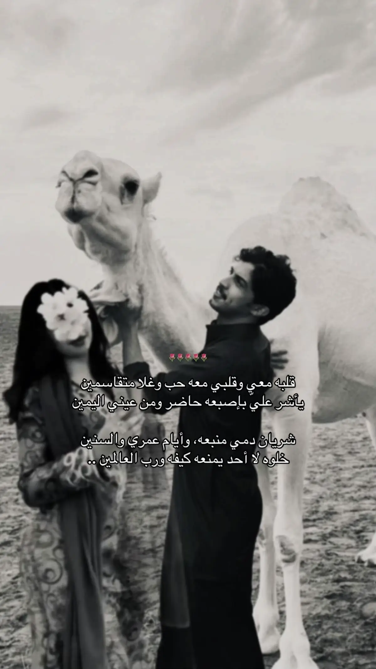 #قلبه_معي_و_قلبي_معه #حمد_العامري #حب #غزل #حبيبي❤️ #اغاني #العين #شيلات #حربيات #الشعب_الصيني_ماله_حل😂😂 #اكسبلورexplore #ترند_تيك_توك #العيد #لايك 