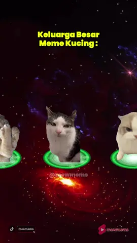 Keluarga Meme Kucing PART 1 #catlover #memekucing #catsoftiktok 