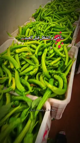 شغل الأرض قبل العيد لا ينتهي 😭#محظورة_من_كلشي😫💔 #اكسبلور_لايك #زراعة #tiktokuni 