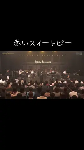 #乃木坂46 #SpicySessions #中西アルノ #赤いスイートピー 