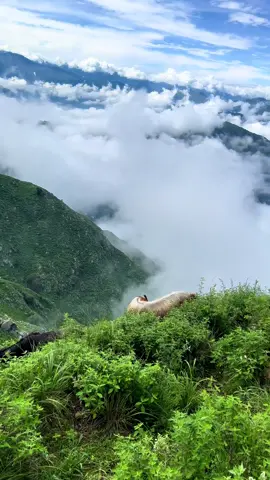 #koherai #Dir #barish🌨 #umairkhan117 