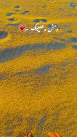 #مجرد________ذووووووق🎶🎵💞 