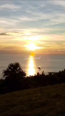 Golden Farewell ☀️🤍 #CapCut #sunset 