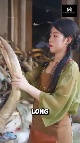 How Do The Chinese Turn Cow Horns Into Comb #cow #horn #comb #crafts #fyp 
