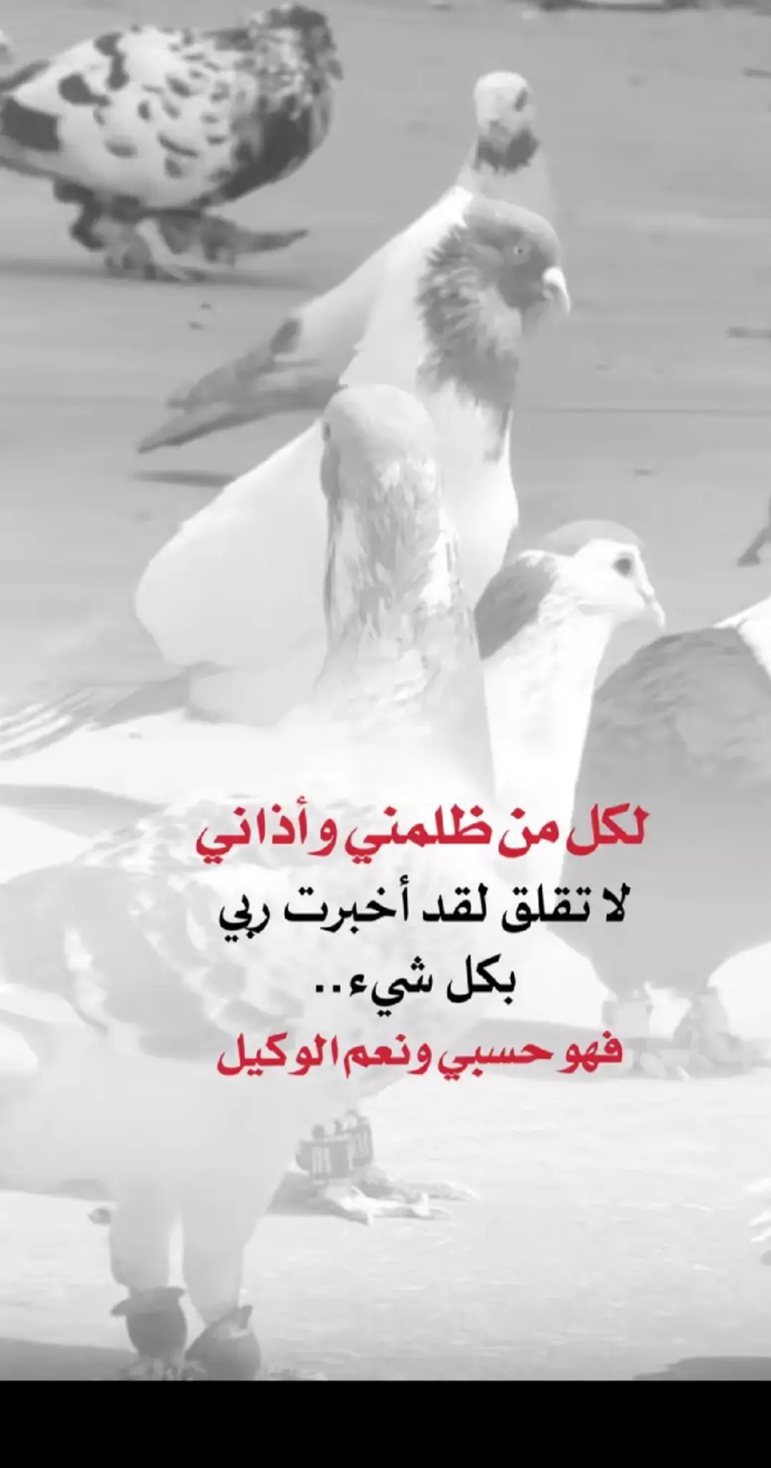 #لاسامحكم_الله_واذاقكم_نفس_الشعور🖤 #ذنبهم_عظيم_قتلو_فينا_حب_الحياة 
