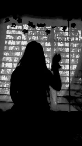 Tui amr hero #babai_tah♠️ #1319a_r_i_y_a #♠️secret_girl_shizuka♠️ #dancevideo #shadowvideo 