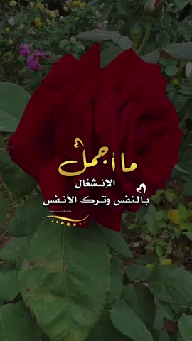 ما اجمل الانشغال بالنفس وترك الآخرين 