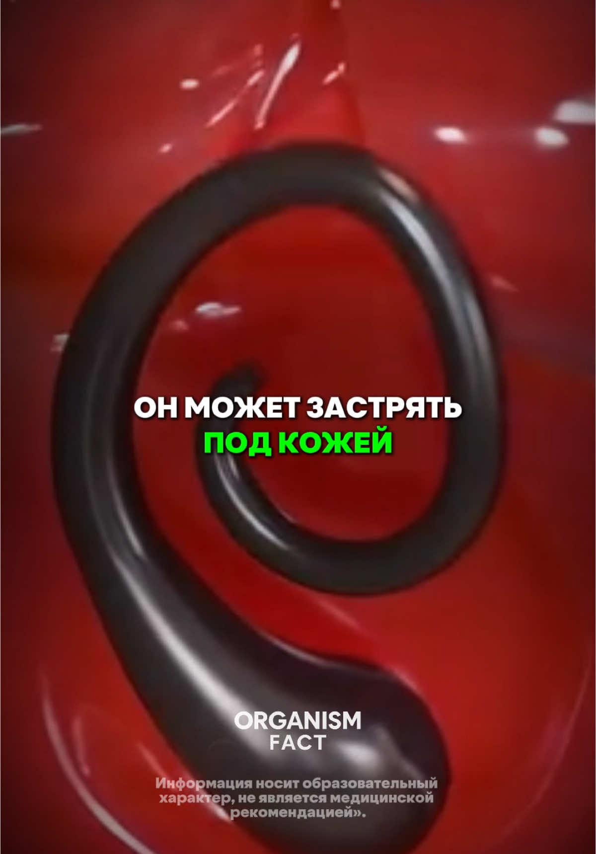 Присоединяйтесь на наш канал, чтобы знать больше о своем организме