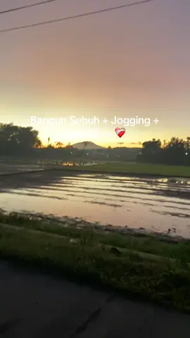 Swejuk☘️ #fyp #fypシ゚ #fypage #jogging #morningrun #run #Running #strava #morningperson 