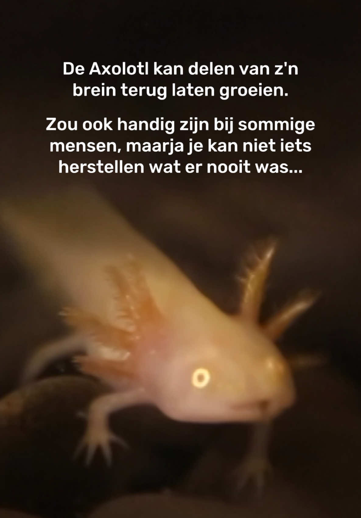 Dit hangt bij ons in de kantine