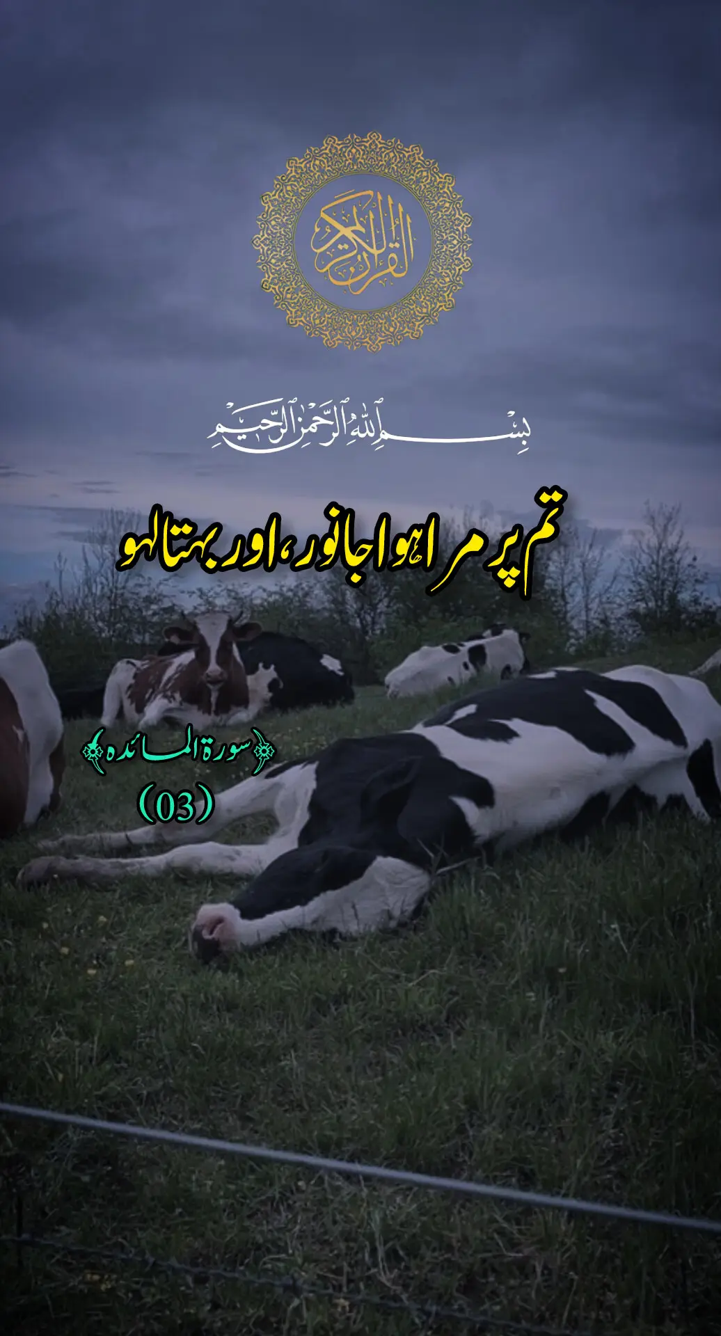 ##quran_alkarim #islamic_video #islamiccontent  #trending #sound #qurantarjumatafseer #قران_كريم #alquran #fyp #alquran_alkareem0 #sura #goviralvideo 