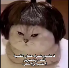 #viral #اكسبلور #foryou #fyp 
