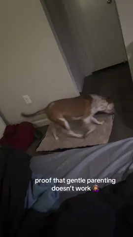 like why i gotta get ghetto man 😂😂#dogsoftiktok #puppy #pitbull #fypシ #fyp 