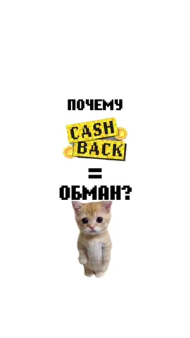Киса объясняет, как работает cash back 😻