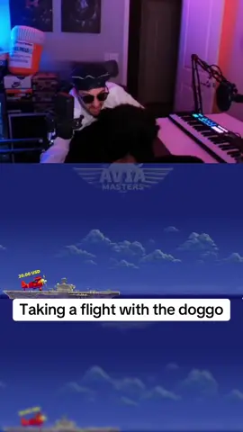 Taking a flight with the doggo #dog #capitaine #planegame #aviamaster #flight 