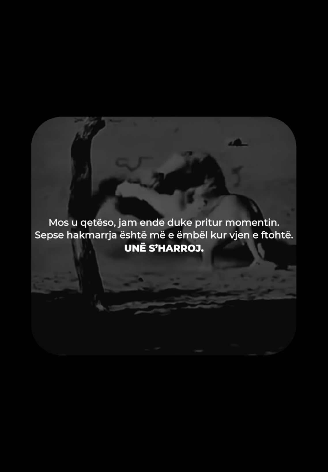 Nuk ka nevojë për nxitim. Disa plagë s’mbyllen, disa llogari s’mbyllen… derisa vetë koha të sjellë momentin e duhur. Hakmarrja e vërtetë nuk është shpërthim — është durim i ftohtë dhe rikthim madhështor. #RrugetStoike #RevengeIsTimeless #ColdMindset #SilentPayback #BuiltInSilence #CalculatedMoves #NoForgivenessJustFocus #LongGameMentality #ElegantVengeance #UnshakenResolve hakmarrje | heshtje | durim | llogari të pambyllura | fuqi e ftohtë | kthim | motivim i brendshëm | kujtesë | rikthim | disiplina | mosfalje | stoicizëm | kontroll emocional | ndëshkim | suksesi si hakmarrje | pjekuri | forca e karakterit
