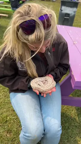 I am CRACKING up 🤣 If you remember this sound you a OG. Had to throw a clip in there. 🤣🤣🤣 if you’ve never seen this video well now you have! Welcome 🤣 🐍 