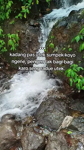 #storyjowo#berandatiktok#katakata#storywa#fyhp#fyppppppppppppppppppppppp#hariini 