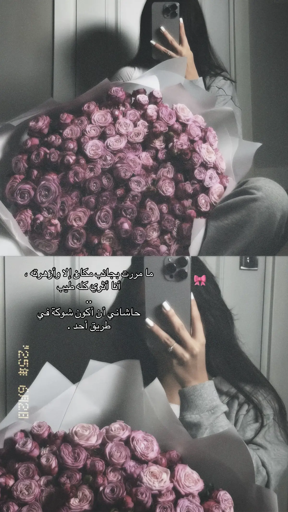 #اكسبلورexplore 