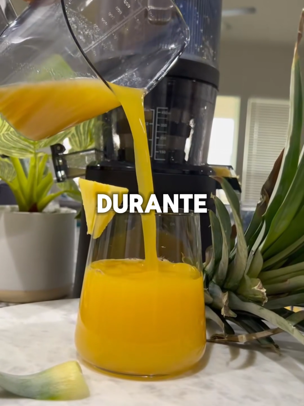 Esto es lo que le pasará al cuerpo de una mujer si toma jugo de piña todos días durante 2 semanas 😱🍍 #piña #jugos #consejosdesalud #batidos #jugossaludables #jugosnaturales 