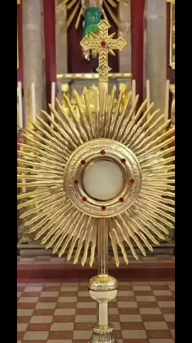 #paz24 #arkeradecristo 