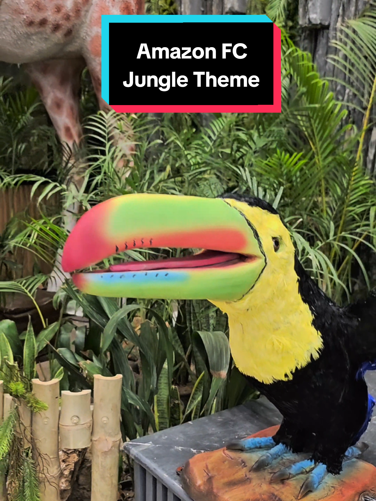 Amazon Mall Foodcourt gets a new Jungle Theme !! Experience the best fine dine options at AOM foodcourt located on 4th floor- #imarat #graana #amazon #amazonmall #jungle #jungletheme #mebeast #foryou #viral #islamabad #cda