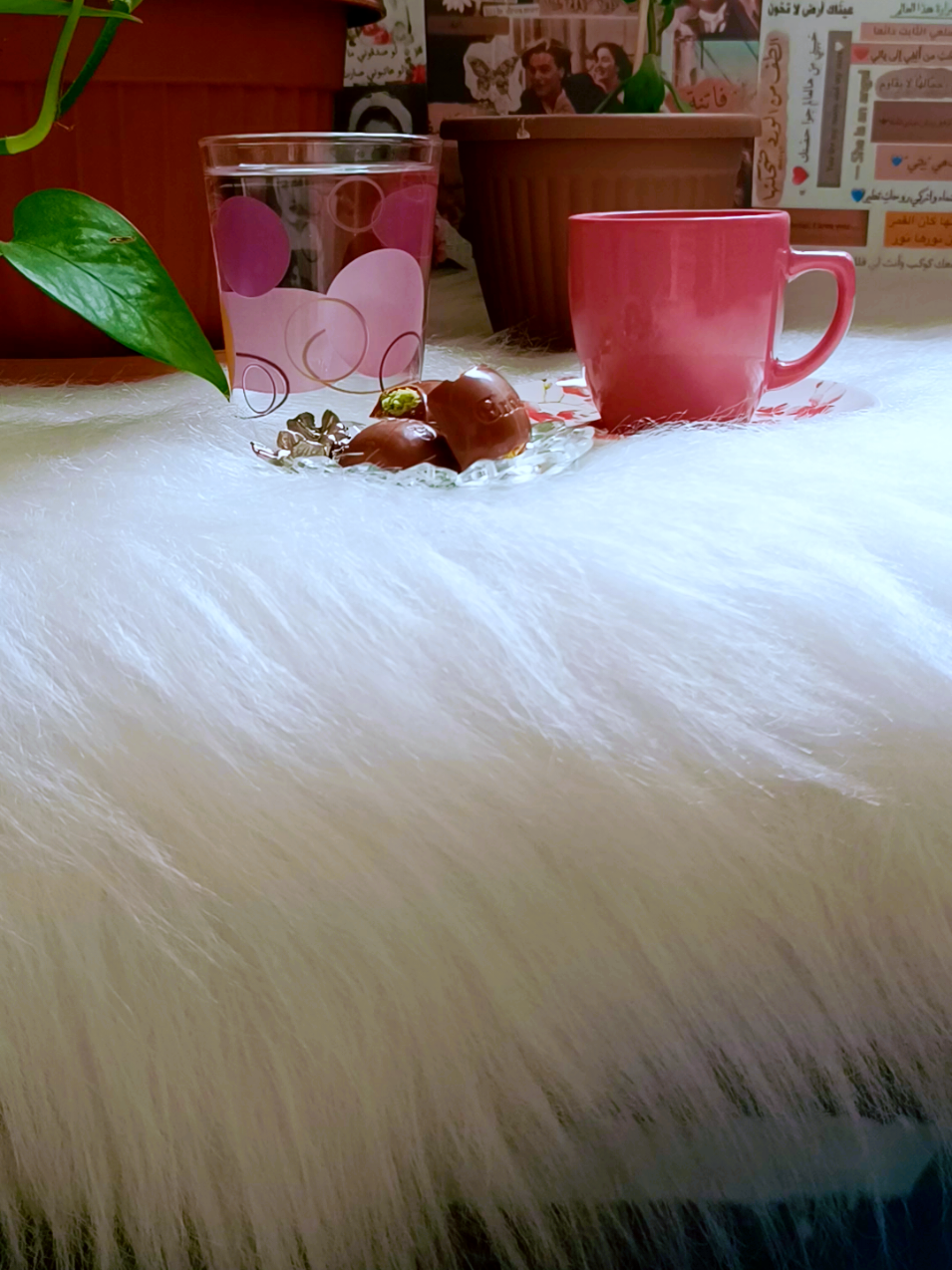 حياتي بقت اجمل بكتير 🙂🥲🥹 #جديد #أم_يزون💚 #💚 #😂 #trebd #trending #explore #viral #متابعة #تفاعل 