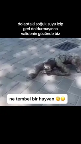 #viralvideo #fypシ゚ #fyppppppppppppppppppppppp #keşfetteyizzz #keşfet #kesfet #fypage 