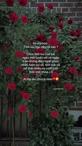 Ai lớp diu❤️ #suyymottchut #viral #fyp 