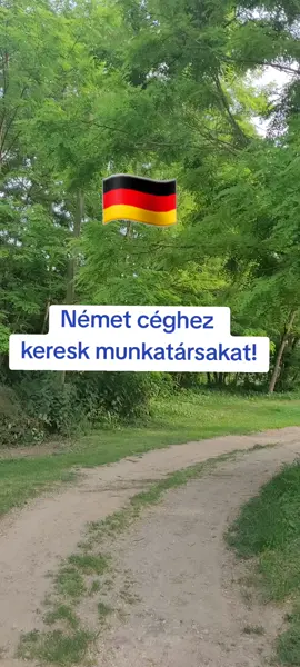 #otthon #utazás #homeoffice #foryurape #fyp #Ausztria #minijobs #online #deutschland #németországimagyarok #fejlődés #trend 