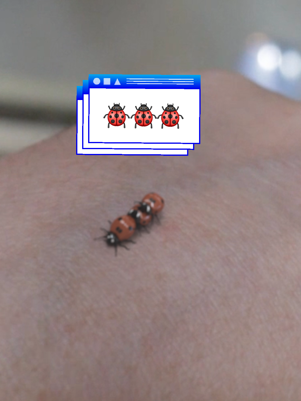I'll probably need to wash my hand after they're done. 🐞🐞🐞 #ladybugs 