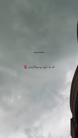 Yoma Arfa ka din 🫀🩶🕊️#foryou #foryoupage #islamic_video #aestheticvideos #viralvideo #growmyaccount #unfrezzmyaccount #maha_aesthetix 