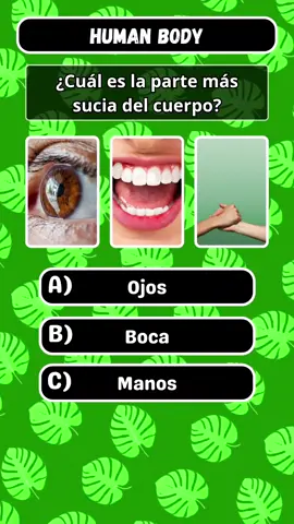Cuerpo Humano  #quiz #doctor #medicine #LearnOnTikTok #quizchallenge 