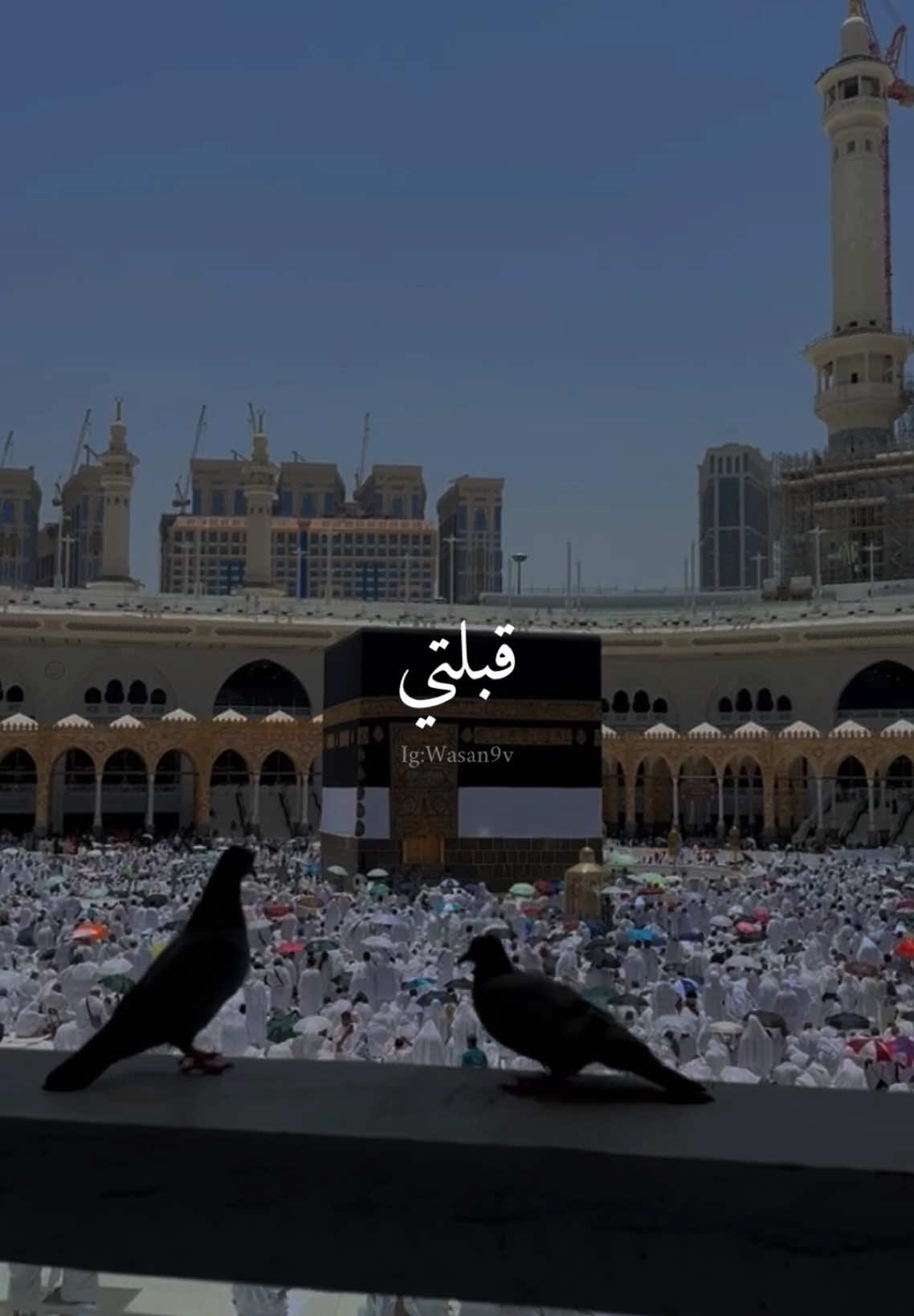 علّني يوما لك زائر 🕋🤍 . . . . . . . . . . #دعاء #يارب #ياطيبة #سبيستون #حج #عمرة #الكعبة #يوم_عرفه #اسلام #اسلاميات #إسلام #اسلامي #ريلز #ريلز_انستغرام #ريلز_اكسبلور #انشوده #طلبة_مصر #islam #islamic #allah #muslim #eid #hajj 