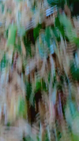 #alhumdulillah #alhumdulillah_4everythin  #qurbanilovers 