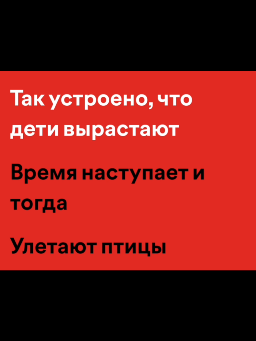 так устроено.. | #musiic99 #music #applemusic #spotifymusic #spotify #музыка #песня #текстпесни #fyp #lyrics
