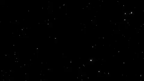 اوعي تقوليلي انا اول واحد😂👌🏽💯 + شجعوني ع المجال الجديد بليك وحركه اكسبلور. #تصاميم_فيديوهات🎵🎤🎬 #تصميم_فيديوهات🎶🎤🎬 #تصميمي #حالات_واتس #explore #fyp #مصطفي_الجن #هادي_الصغير #اوعي_تقوليلي_انا_اول_واحد🙇🏼😂 