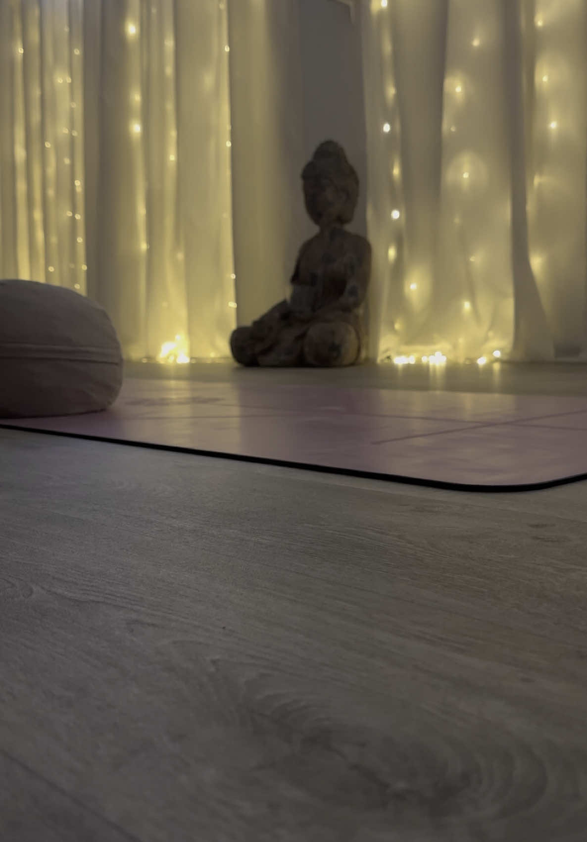 my yoga morning classes🧘‍♀️ I’ve been practicing for a month now, and my body feels more toned and my health stronger🐚 #yogagirl #yogalover #morning #morningroutine #yogaclass #morningyoga #contentcreator #contentcreators #influencer #influencers 