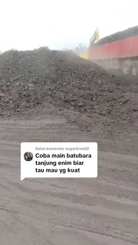Membalas @sugarbros02 hub marketing Siba Surya biar kita bisa main batu bara lagi. do istimewa🔥🔥  #berandatiktok  #drivermuda  #sibasurya 
