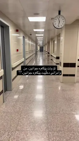 #creatorsearchinsights #repost #tiktok #slemani_hawler_dhok_kerkuk_text_r 