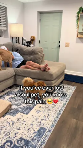 The custom photo of him is the greatest gift @Janet Denise Jefferson #souldog #rainbowbridge #PetsOfTikTok #tiktokshopmademebuyit #petloss 