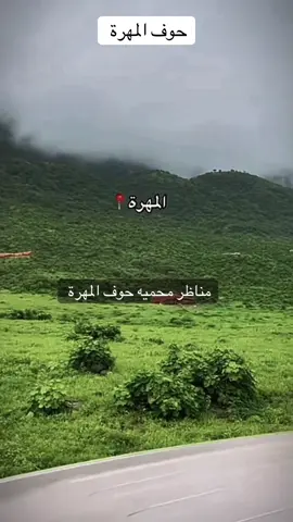 المهرة حوف اليمن  مناظر محميه حوف  #مناظر_طبيعيه #اليمن_السعيد #حفيدة_يهرعش 