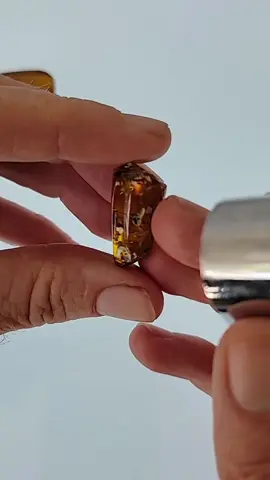 accidental enhydro find 