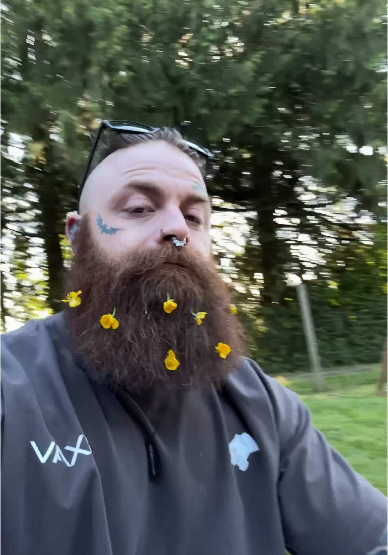 Just your average day outside. 