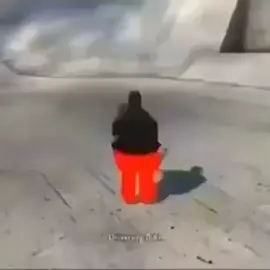 memes I found in my garbage pt2