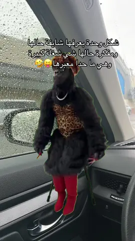 #Meme #MemeCut اخ يا بطني🤣🤣#CapCut #اللهم_صلي_على_نبينا_محمد #ايوشة_الحمصيةة #يا_عمري 