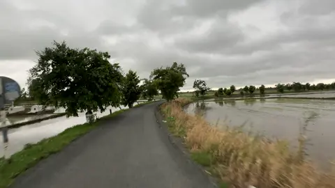 quá khứ đám mưa rồi#xuhuong #viral #fyp #baclieu #chill #quehuong #canhdep 