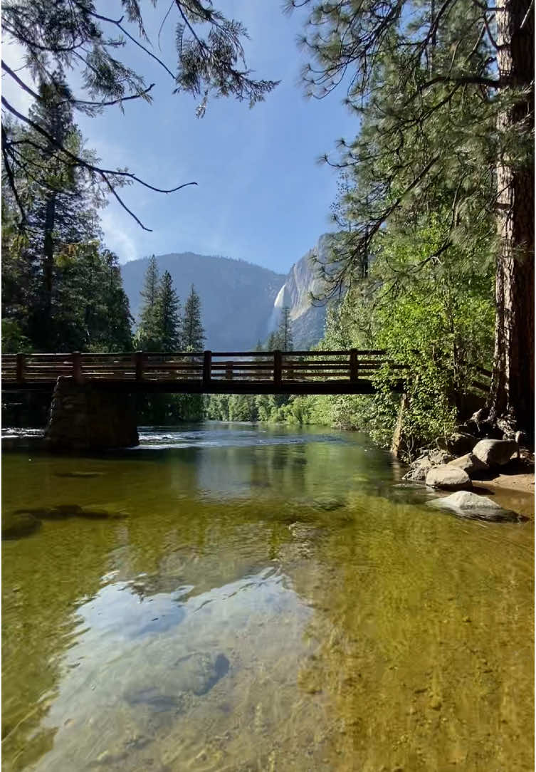 Senti que estaba en un sueño #fyp #yosemite 