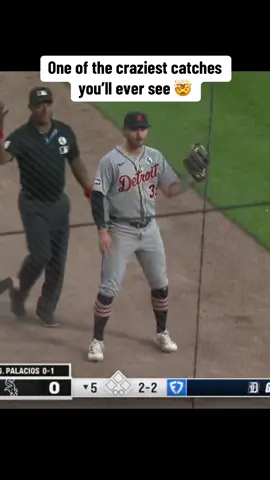Unreal 🔥 (via @MLB) #MLB #baseball #catch 